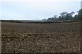 Ploughed Field near Northbrook. in DT2 8TG