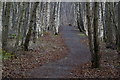 Path at the north side of Balgavies Loch Wildlife Reserve in DD8 2TF
