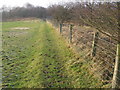 Path near Gamesley Fold Farm in SK13 5HB