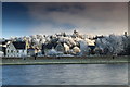 Across river Ness, heavy frost on trees in IV3 5PG