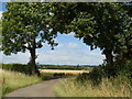 Path near Epperstone in Dover Beck Ward