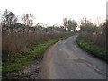 View south along Cess Lane in NR29 4PS