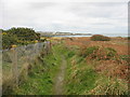 Cliff top path near Traeth Dynion in LL68 9ED