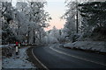 A frosty day on the A940 at the Mundole junction in IV36 2JG
