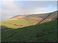 A view towards Mynydd y Cemais from Talyrnau Farm in SY20 9PF