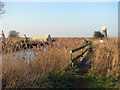 Footpath to Martham Broad in NR29 4DJ