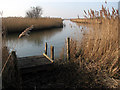 View into Martham Broad in NR29 4DJ