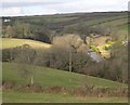 Valley north of Fowey in PL23 1DQ