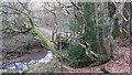 Footbridge over spring near Byworth in GU28 0SA