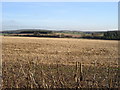 Open Farmland near Bighton in SO24 9FB