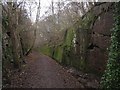 Old railway cutting in PH12 8TS