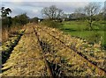 Disused railway in Bradnop