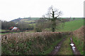 Cadeleigh: track to Farleigh in EX16 8HR