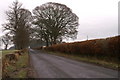 Road at Wester Cardean, between Meigle and Ruthven in PH12 8RJ