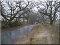 Bridge, on the Brecon Canal in NP8 1HY