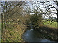2008 : The River Boyd, near Doynton in BS30 5TQ