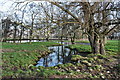Small Pond Adjacent to River Eden in CA16 6AX