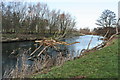 Flood Debris in River Eden in CA16 6AX