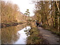 Pine tree and bridge to Ynys-Arwed Farm in SA11 4BG