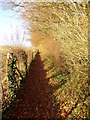 Kimpton - Footpath in SP11 8PG