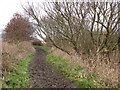 Path along the northeastern edge of Horsey Mere in NR29 4EF