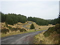 Track Through Whitelee Forest in G76 0PN