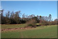 Looking towards woodland at Walton Heath, Northwest of Southwick. in PO17 6BB