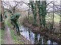 River Till, Shrewton in SP3 4EJ