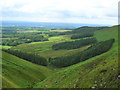 View down Clough Heads Brook in Bleasdale