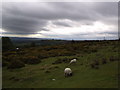 Rain Clouds Over Clee Hill in SY8 3QU