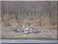Roadside memorial in IP10 0LZ