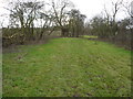 Wooded path to the river in NG10 3DH
