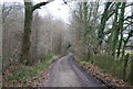 Footpath leading South from Sheepstreet Lane in TN19 7AZ