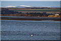 View over Montrose Basin into the distant Grampian Mountains in DD9 7PH
