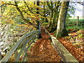 Calderglen Country Park, East Kilbride in G75 0QZ