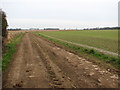 Track across fields to West Somerton in NR29 4PZ