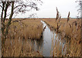 Draining into Martham Broad in NR29 4DJ
