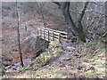 Footbridge over Rivelin Brook near Hollow Meadows in S6 6GJ