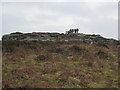 Granite tor on the slope of Trendrine Hill in TR26 3AY