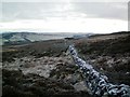 Wall NE of Meall Dubh in PH10 7PY