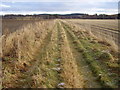 Farm track near Huntly in AB54 4SF