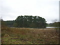 Island in Lanark Loch in ML11 7TG