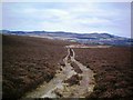 Tracks of Creag Shoilleir in PH10 7LX