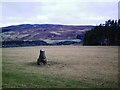 Balnabroich standing stone in PH10 7NW