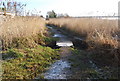 Small footbridge over a creek by the R. Exe in EX2 7NQ