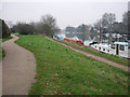 Riverside paths near Teddington Lock in KT2 5BH