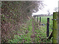 Between a hedge and a stock fence in NR28 9LT