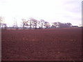 Ploughed field, looking towards a cottage in DD9 6YE