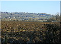 2009 : Ploughed field south of Lacock in SN12 7QA