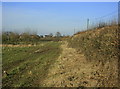 2009 : Field off Forest Lane near Bowden Hill in SN15 2PQ